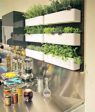 Kitchen Herb Wall Garden