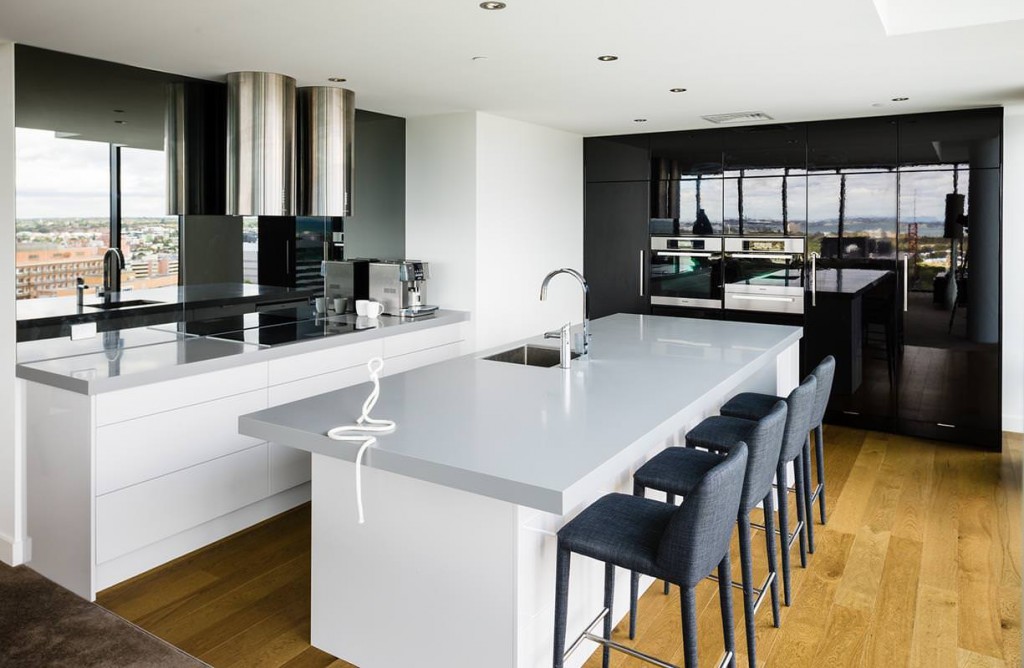 Black and white contemporary kitchen photo